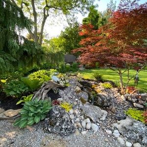 Meet your Posher, Rose